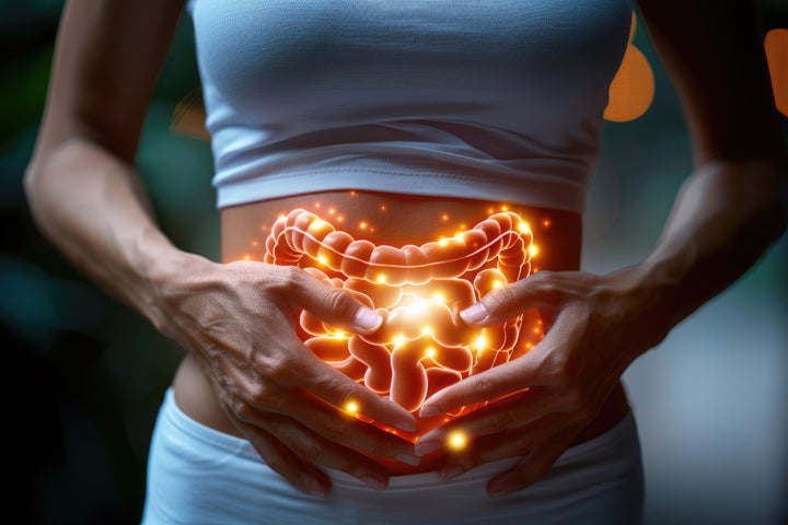 The gut and oral health connection