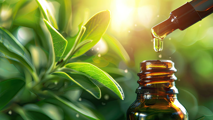 Tea tree oil